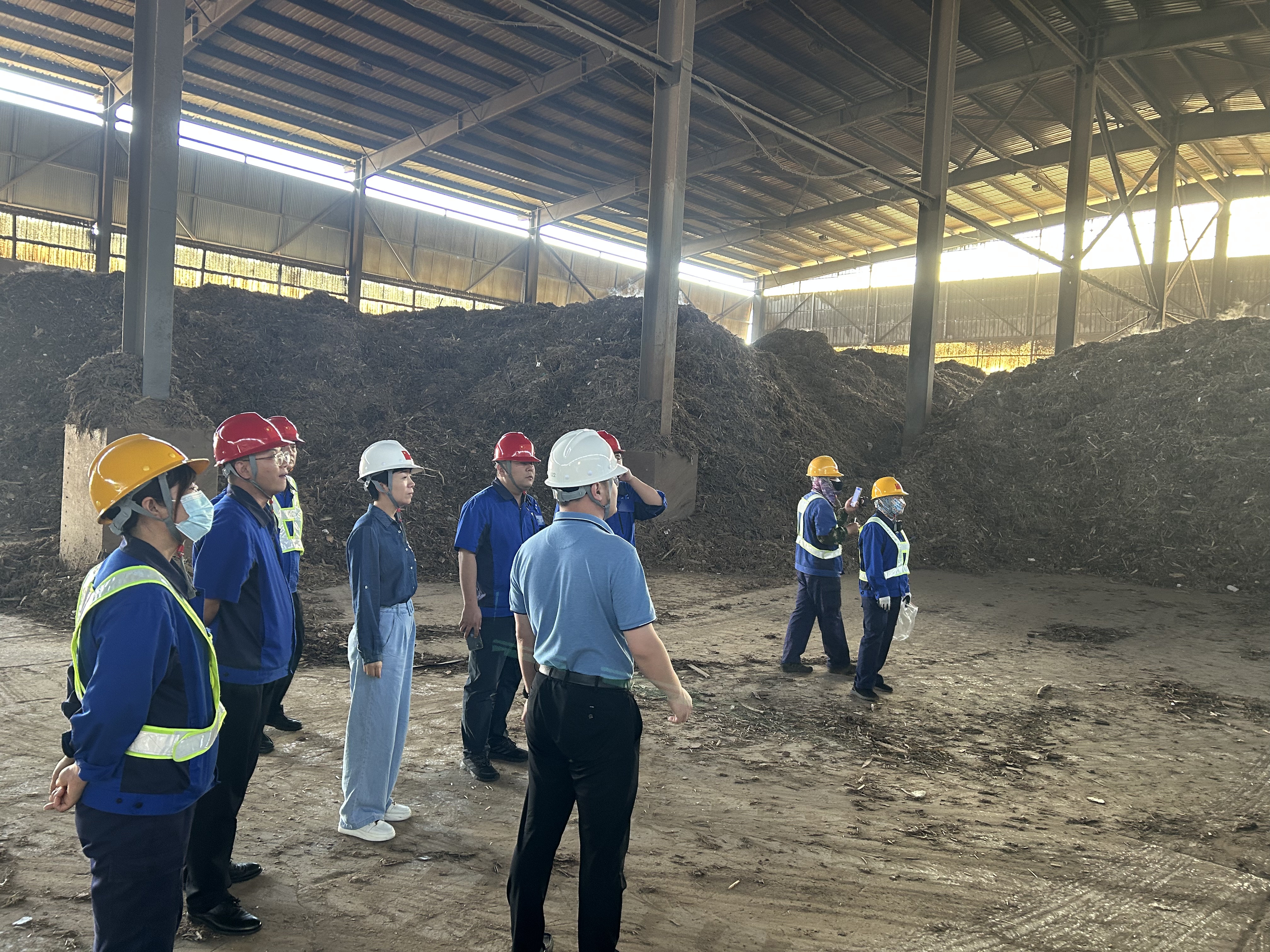 1719885395292.jpg 生物質(zhì)燃料.jpg